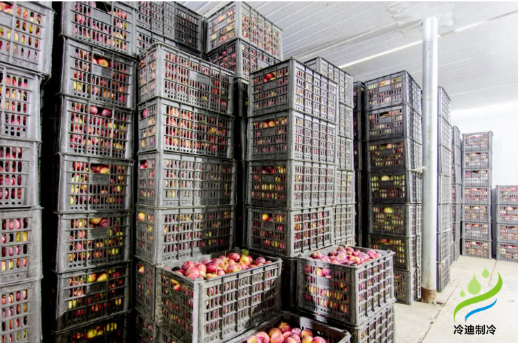 蘋(píng)果冷庫(kù)儲(chǔ)存方法