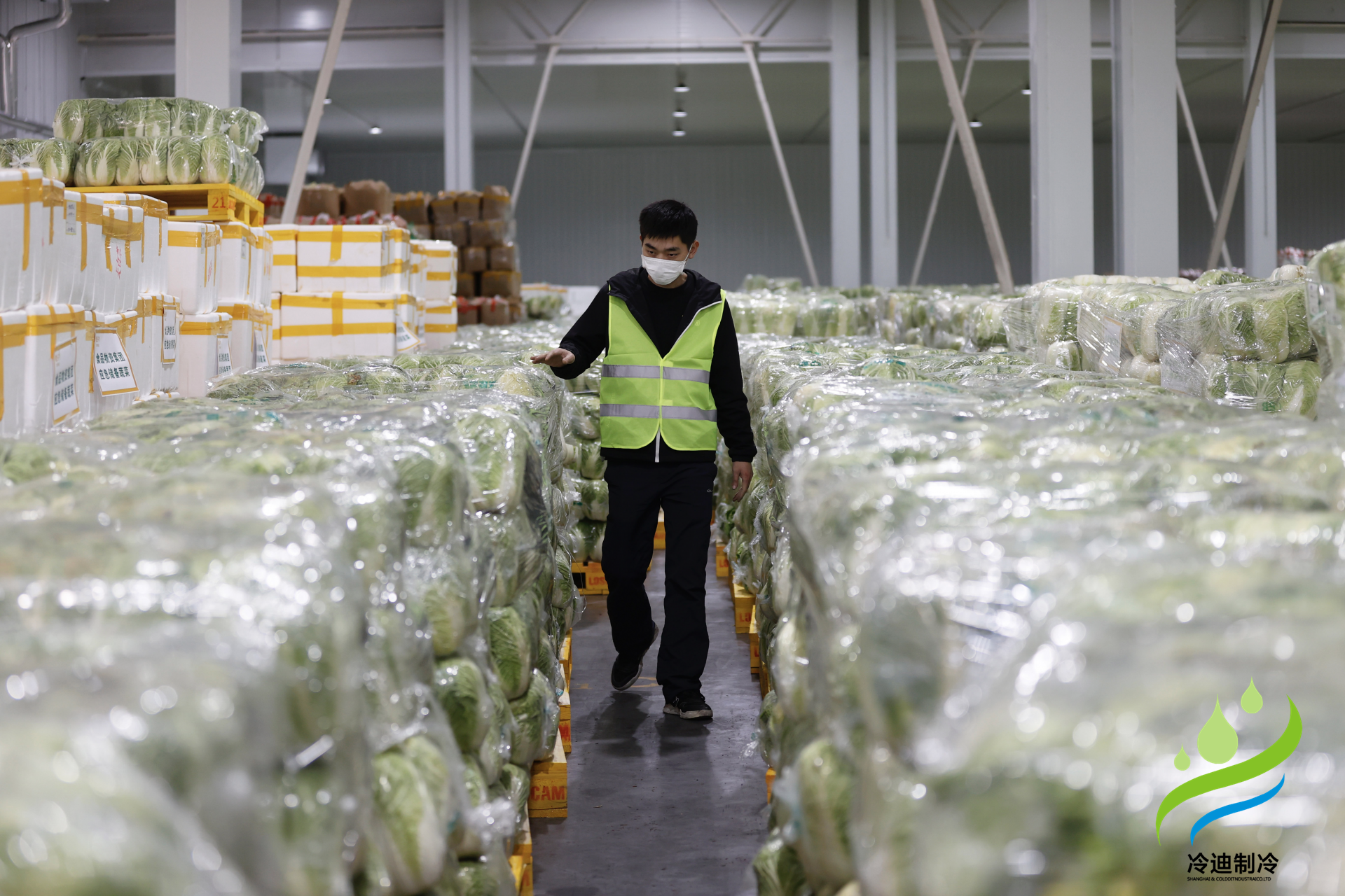 安裝一個(gè)生鮮冷鏈冷庫需要多少錢？(圖2)