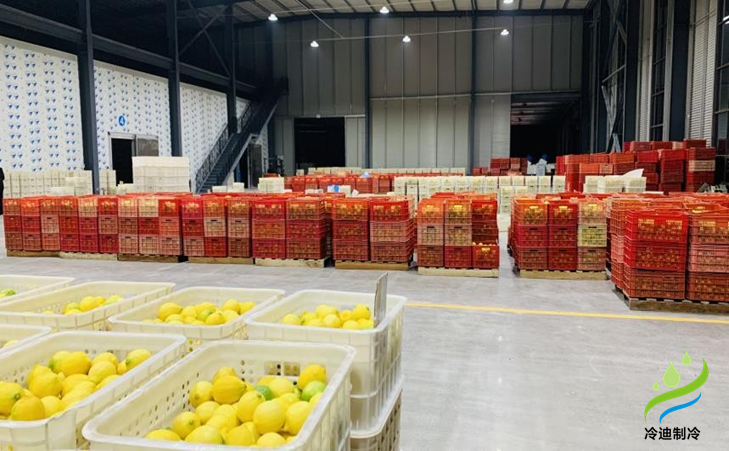 建造一個橙子冷庫需要多少錢？(圖1)