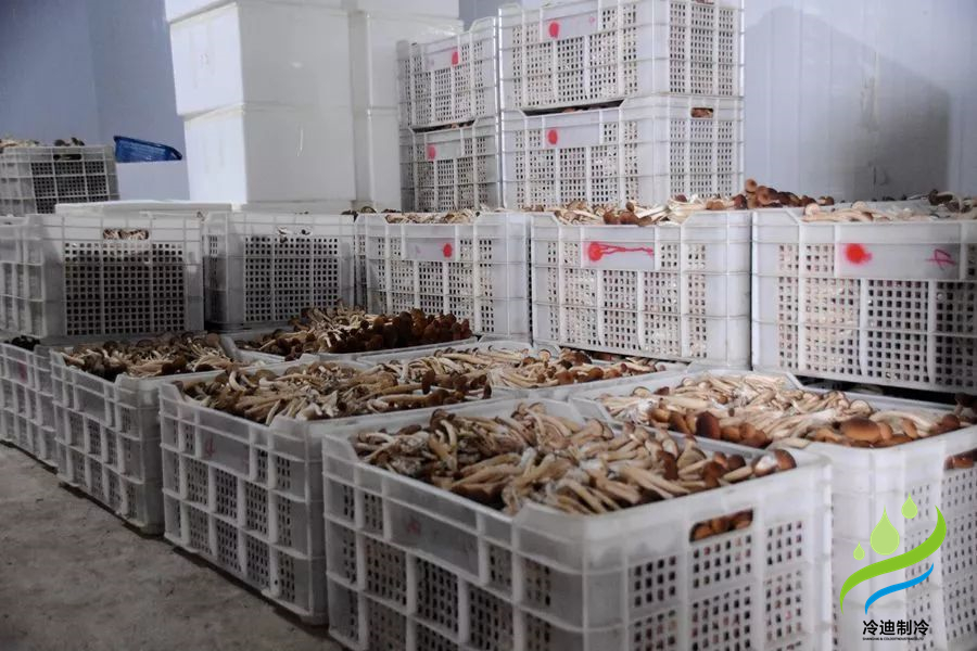 菌菇保鮮冷庫(kù)